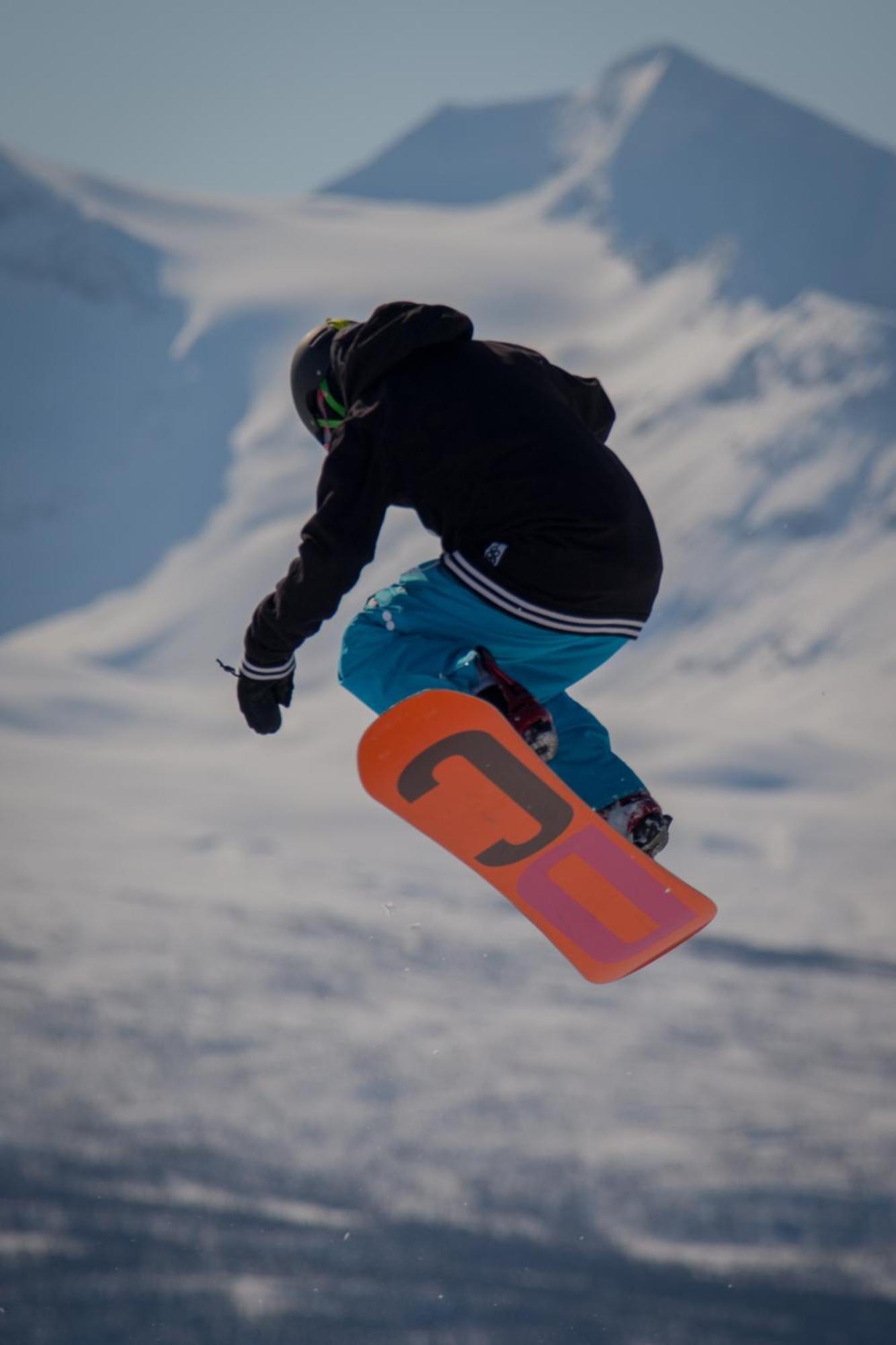 Malselv Fjellandsby *