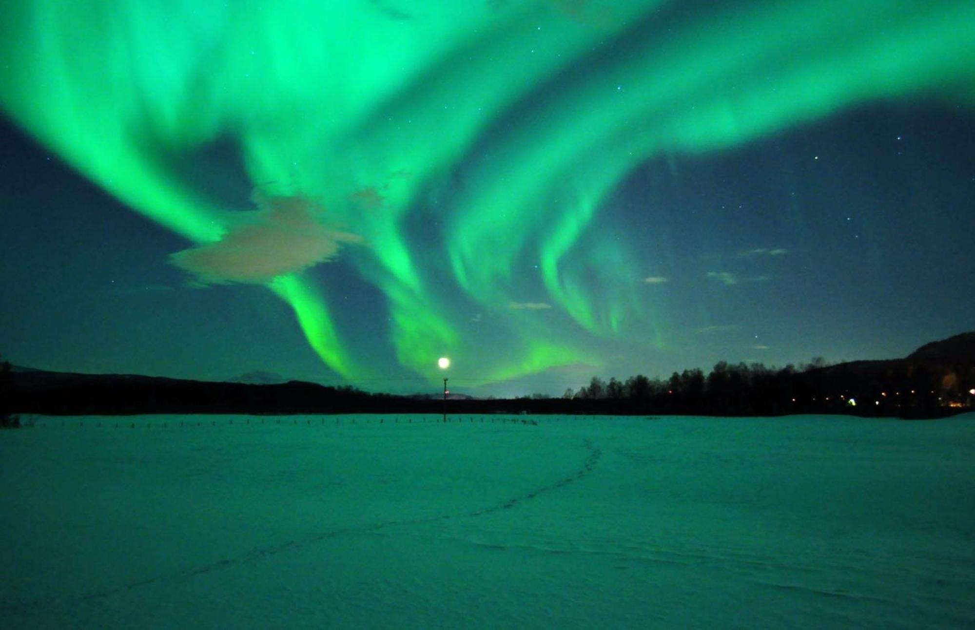 Malselv Fjellandsby Bardufoss